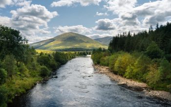 Read more about the article Lacinia nunc curabitur tortor pellentesque nibh