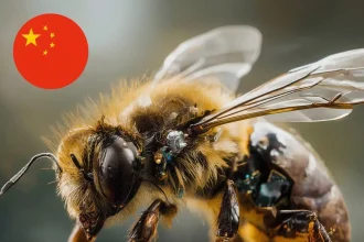cyborg bees