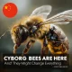 cyborg bees